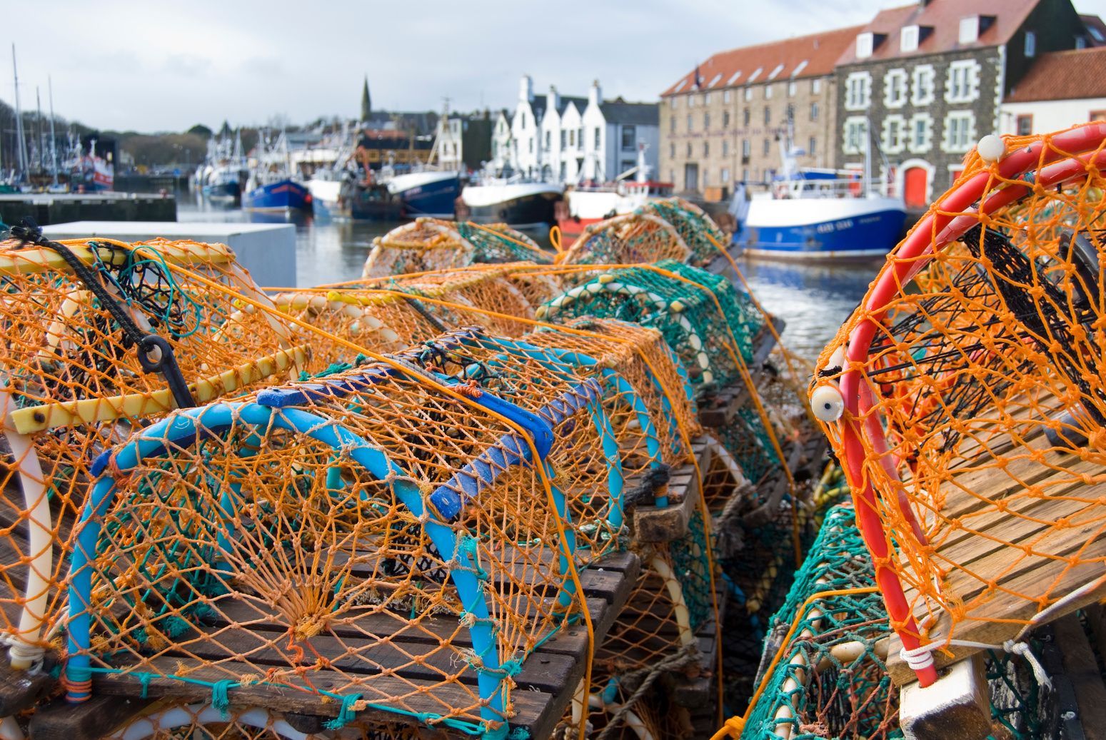 Lobster pots at Eyemouth harbour, Scotland