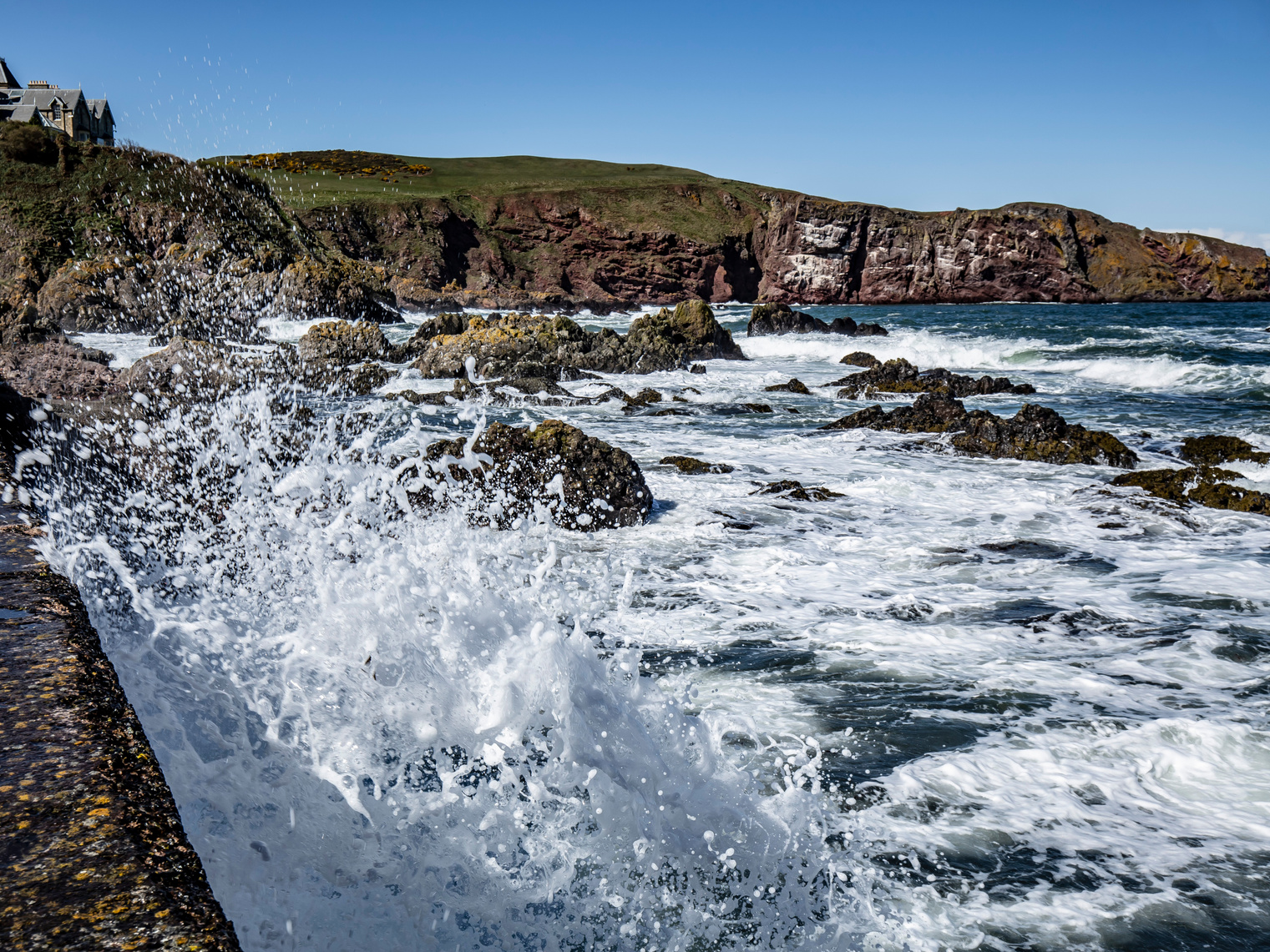 North Sea Coastline At Coldingham Harbour.